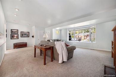 315 Lookout View Dr, Golden, CO 80401 - photo 5