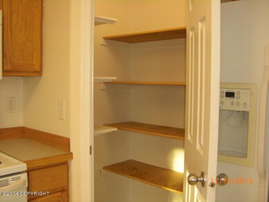 Nice Sized Pantry