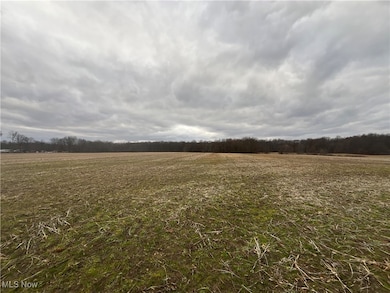 0 Ohio 225 unit 5174573, Diamond, OH 44412 - photo 3