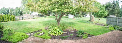 back yard