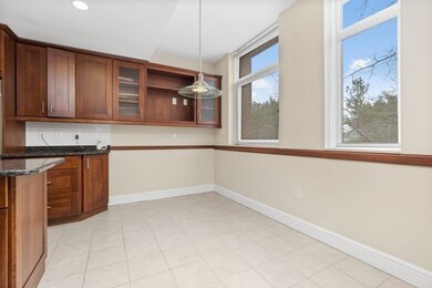 Hampton Place unit 309N, Chestnut Hill, MA 02467 - photo 4