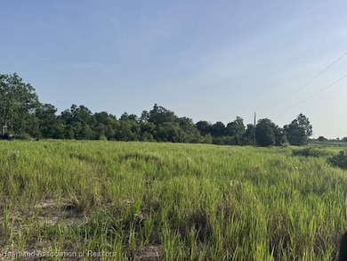 7710 Lake Buffum Rd N, Fort Meade, FL 33841 - photo 5