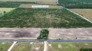 Elengton Rd main aerial with border