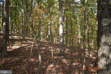 14210 Exline Rd, Hancock, MD 21750 - photo 4