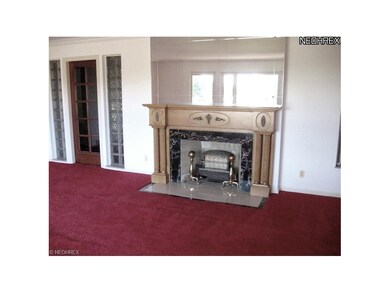 Living Room Fireplace