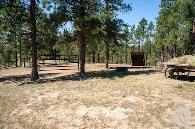 448 W Parrot Creek Rd, Roundup, MT 59072 - photo 5