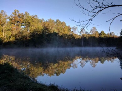 unlisted-address, Stanardsville, VA 22973 - photo 6