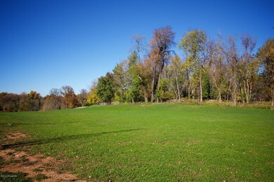 IMG_3315