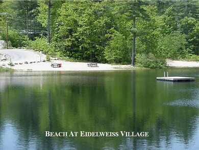 42 Huttwil Dr unit C172, Madison, NH 03849 - photo 3