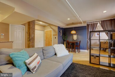 247 N Shippen St unit 211, Lancaster, PA 17602 - photo 7