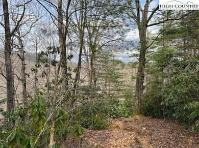 82+/- Acres Doublehead Mountain Rd, Newland, NC 28657 - photo 2