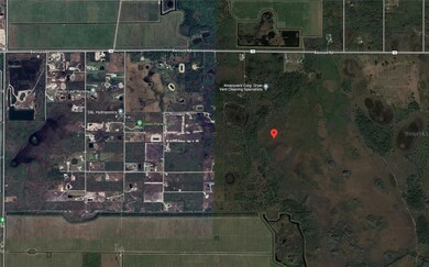 49667 Bermont Rd, Punta Gorda, FL 33982 - photo 2