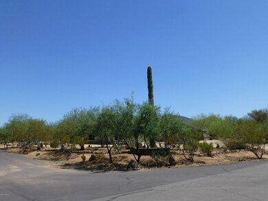 Desirable Corner 1 + Acre Lot