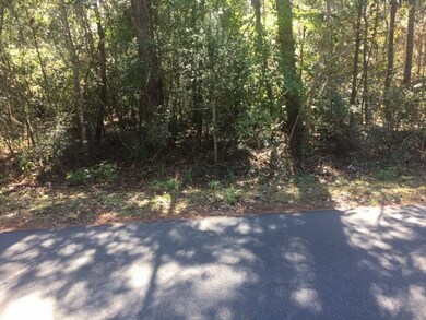 0 Ace High Stable Rd, Crawfordville, FL 32327 - photo 3