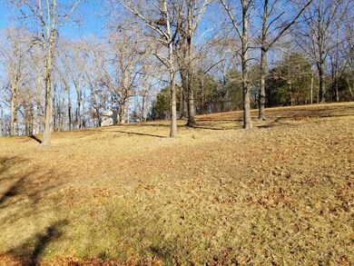 47 Canyon Forest Cir, Kimberling City, MO 65686 - photo 2