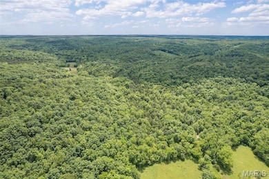 23201 Private Drive 6474, Duke, MO 65461 - photo 7