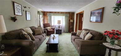 593 Furnace Rd, Conneaut, OH 44030 - photo 6