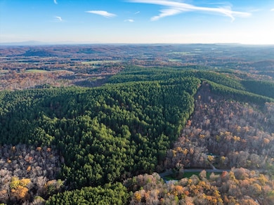 00 Sneed Rd, Decatur, TN 37322 - photo 4