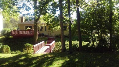 back yard1