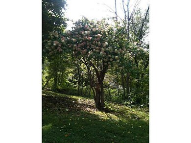 Yard/Garden.