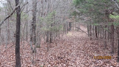 Day Road Path 2