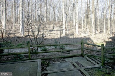 5 Tomlinson Ct, Cabin John, MD 20818 - photo 3