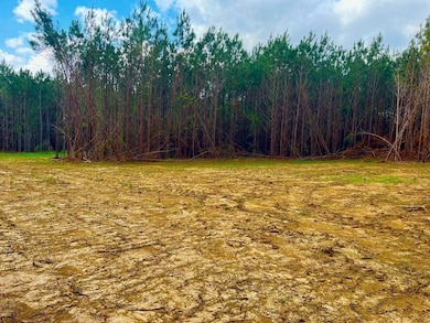 Reeves Rd SE, Ruth, MS 39662 - photo 4