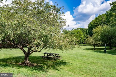 1505 Belle View Blvd unit A2, Alexandria, VA 22307 - photo 5