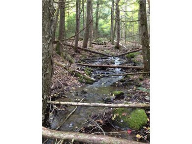 Other. The brook.