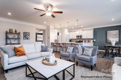 12124 Muscadine Ct, Midland, NC 28107 - photo 5