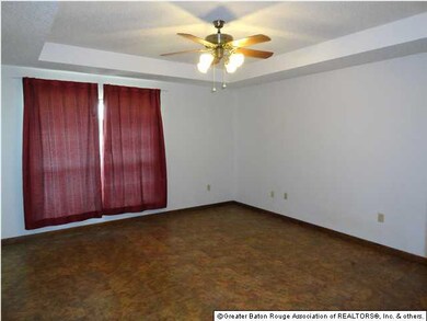 SPACIOUS MASTER BEDROOM