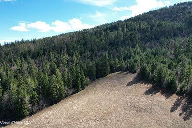 Tract 5 Thimbleberry Ln, Plummer, ID 83851 - photo 4