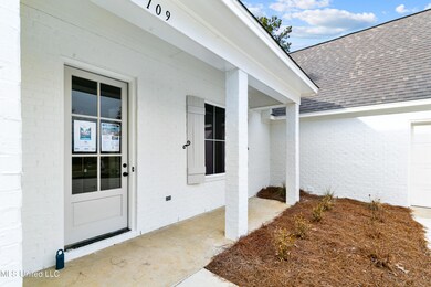 109 Herons Bay Cir, Madison, MS 39110 - photo 6