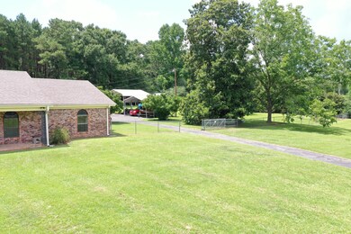 Fenced back yard