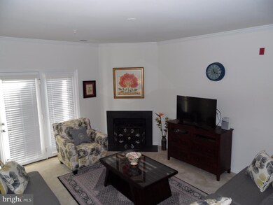 24636 Woolly Mammoth Terrace unit 102, Aldie, VA 20105 - photo 7