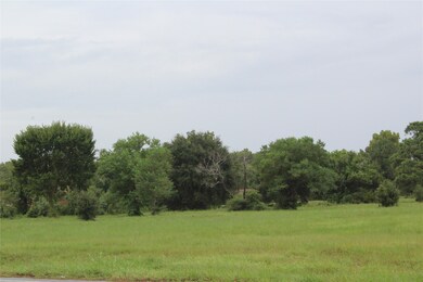 Mature native trees on lot.