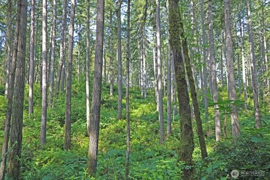 20825 Old Mill Rd SW, Vashon, WA 98070 - photo 5