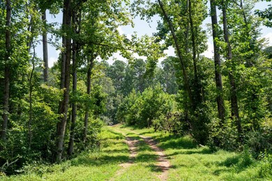 04 Woodfields St unit 4, Greenwood, SC 29646 - photo 5