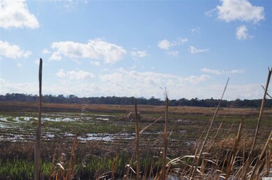 159 Acres Windsor Green Way unit Pig Pen Tract, Georgetown, SC 29440 - photo 3