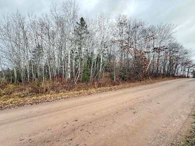 0 Lecoy Rd, Sugar Island Township, MI 49783 - photo 4