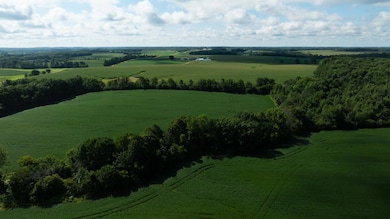 Lot 3 280th St, Glenwood City, WI 54013 - photo 6