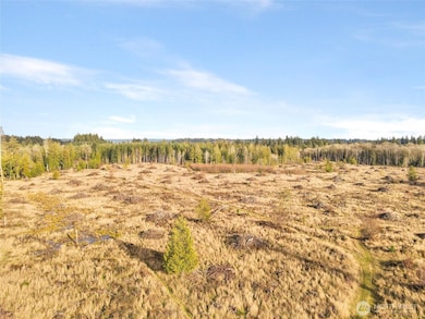 Parts of this 40 acres