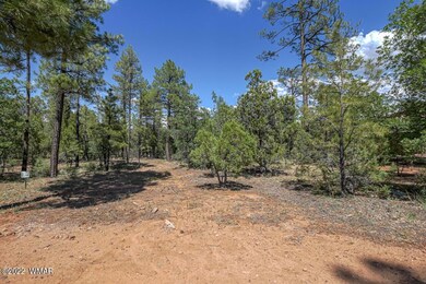 2011 S Sierra Park Trail, Show Low, AZ 85901 - photo 2