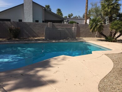 807 W Temple St, Chandler, AZ 85225 - photo 3