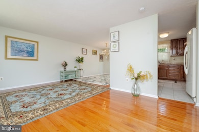 52 Yew Rd, Essex, MD 21221 - photo 7