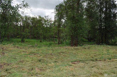 0 NW Dexter Ave, Winlock, WA 98596 - photo 2