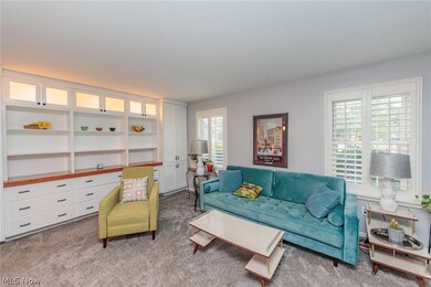 Living room featuring a wealth of natural light and carpet