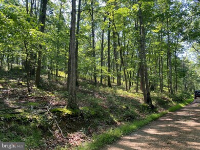 9 & 22 Mount Top Rd, Lost River, WV 26801 - photo 5