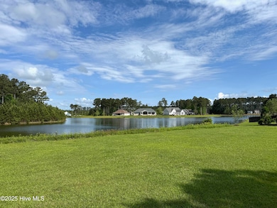 4042 Reunion Pointe Ln, New Bern, NC 28562 - photo 2