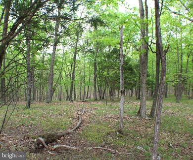 8.01 ac Morgantown Rd, Maysville, WV 26833 - photo 4